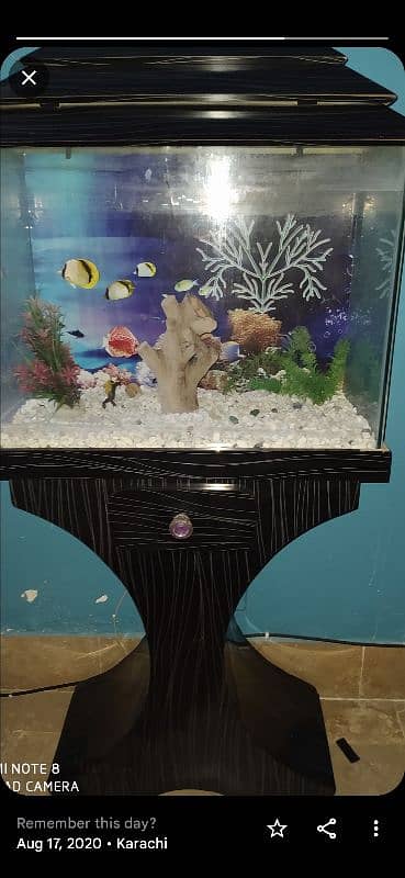 2 feet aquarium with out fishes 0