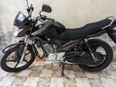 Yamaha YBR 125 2022 Condition 10/10 0