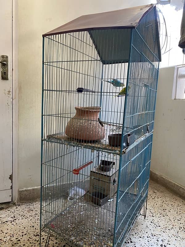 Cage for sell 2