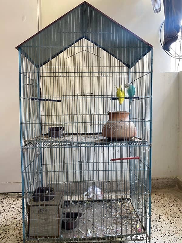 Cage for sell 6