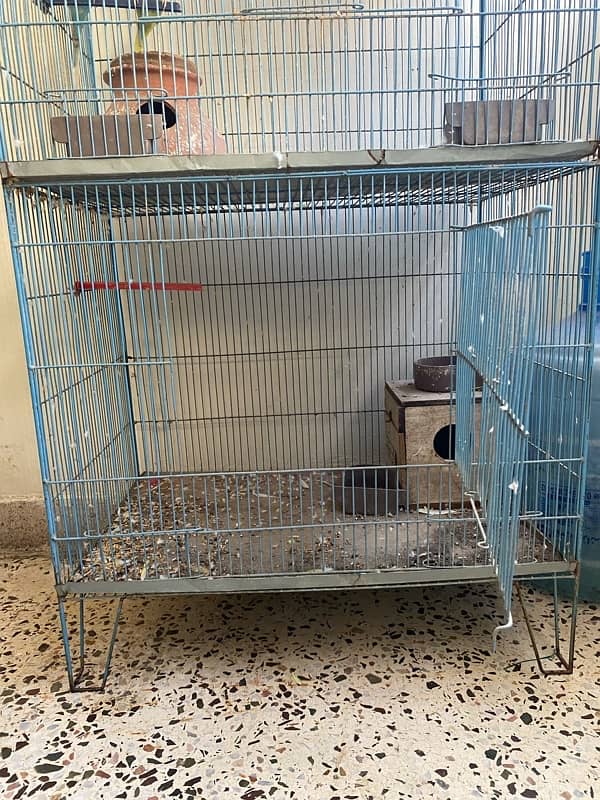 Cage for sell 9