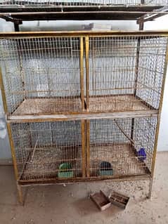 Cage For Birds