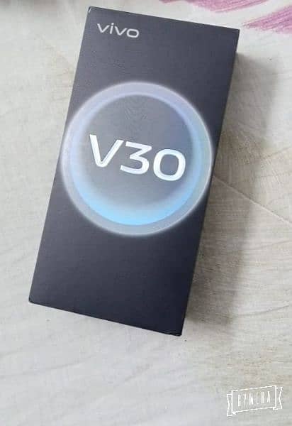 Vivo V30 Mobile 2