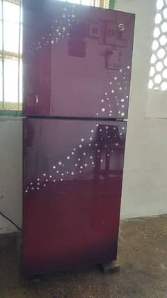 Glass Door PEL Fridges