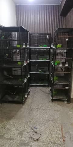 cages available for sale