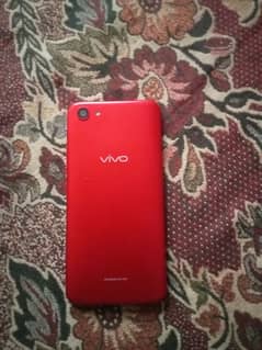 vivo