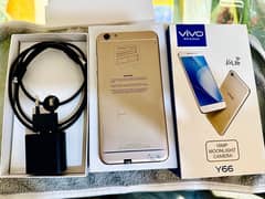 vivo