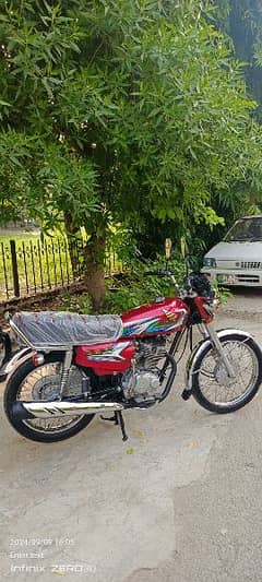 Honda 125 2023