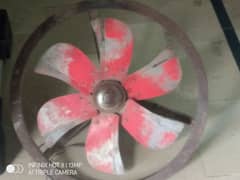 cooler fan