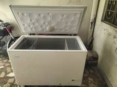 Hair single door freezer