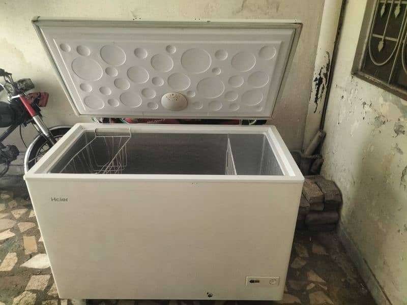 Hair single door freezer 0