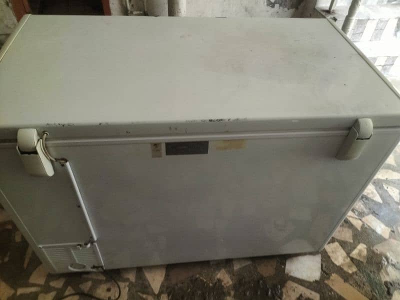 Hair single door freezer 5