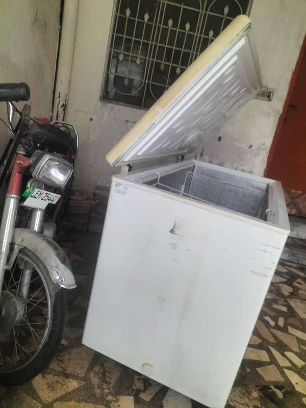 Hair single door freezer 6