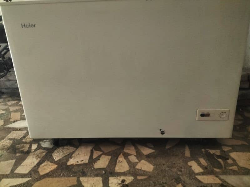 Hair single door freezer 11