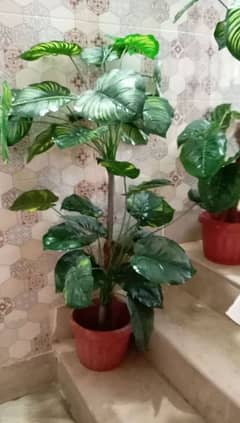 indoor artificial plant