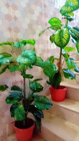 indoor artificial plant 1