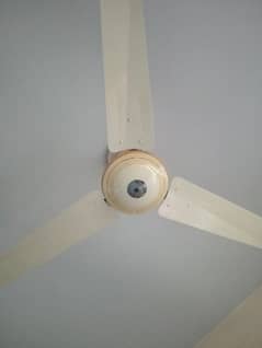 Pak Fan Ceiling In Good Condition 0