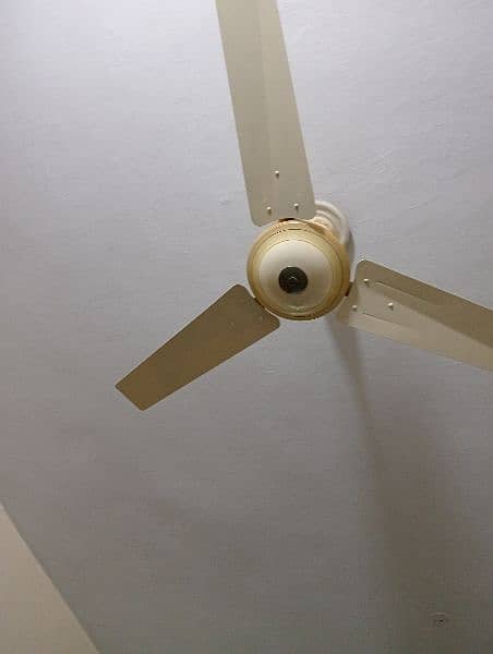 Pak Fan Ceiling In Good Condition 1