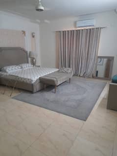 8 Marla Lower Portion With Gas, 2 Electricity Meter, Vip House Near To Main Road