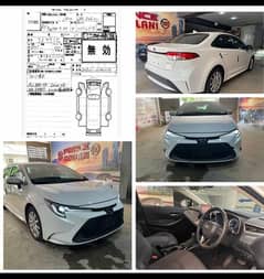 Toyota Corolla Cross HEV 2021