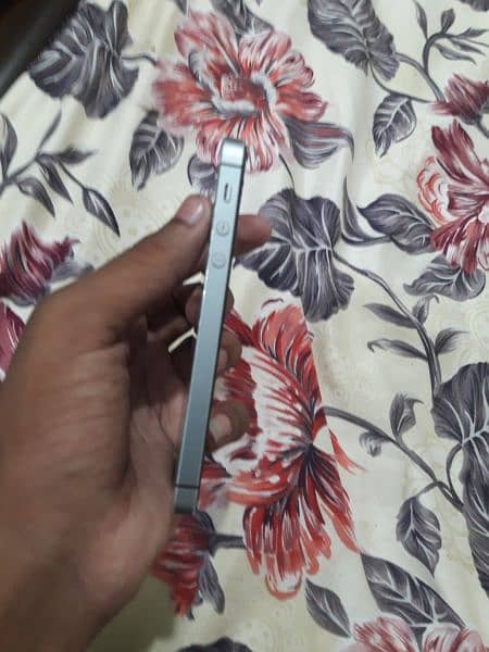 iPhone 5s non pta 1