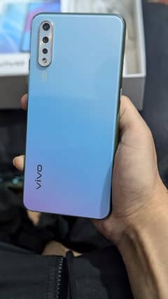 Vivo