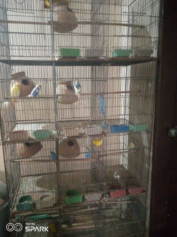 bird cage 0