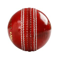 Cricket leather hard ball