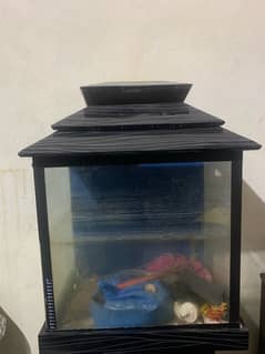 aquarium and all accessories 0