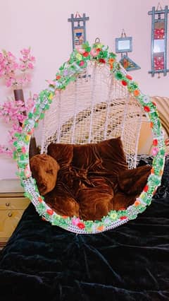 Hanging Swing Chair (Jhoola)