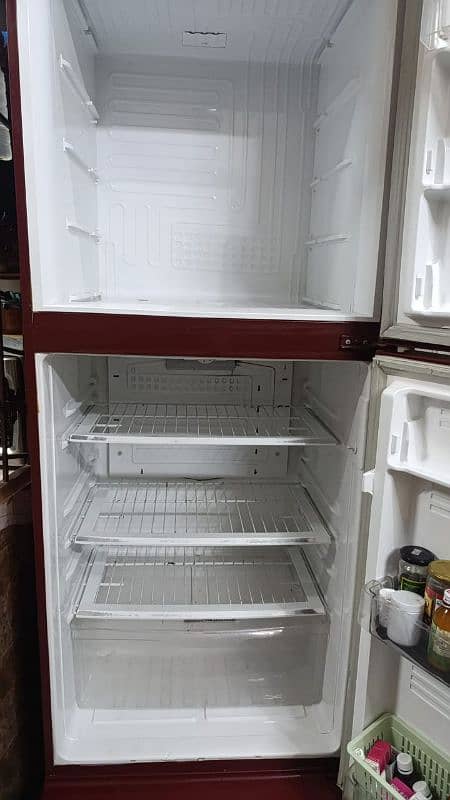 PEL Refrigerator full jumbo size 10/9 condition 2