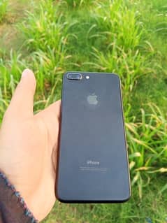 I phone 7 plus non pta 32 gb only back camera not working