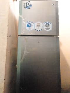 PEL Life Pro Refrigerator