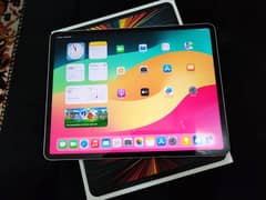 Apple iPad pro M1 12 9-inch data