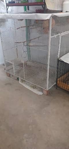 bird cage