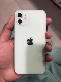 iphone 11 128 GB My WhatsApp number 03414863497