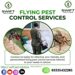 Pest control & fumigation services | termite , deemak ,dengue control