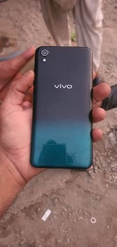 vivo