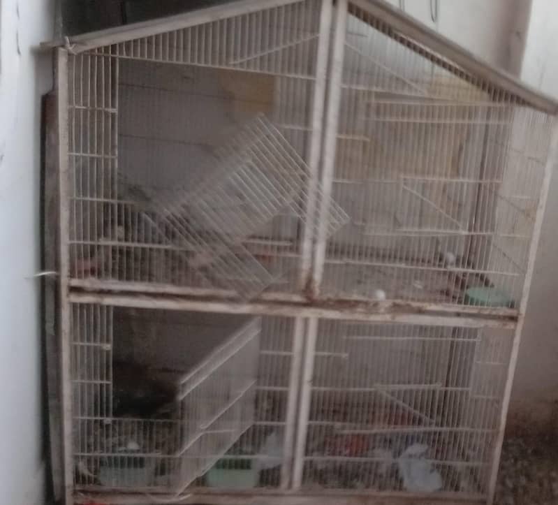 Bird cage 0