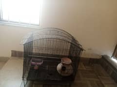 birds cage