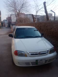 Suzuki cultus