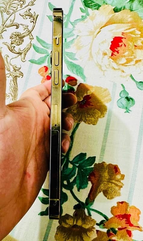 iPhone 12 Pro Max PTA Approved 4