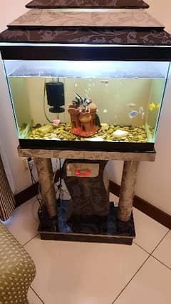 fish aquarium