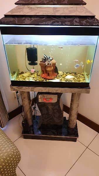 fish aquarium 0