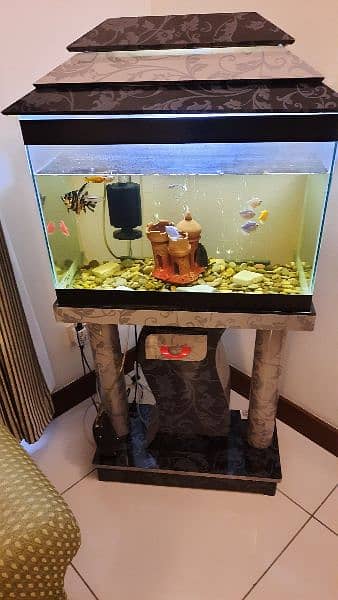 fish aquarium 1