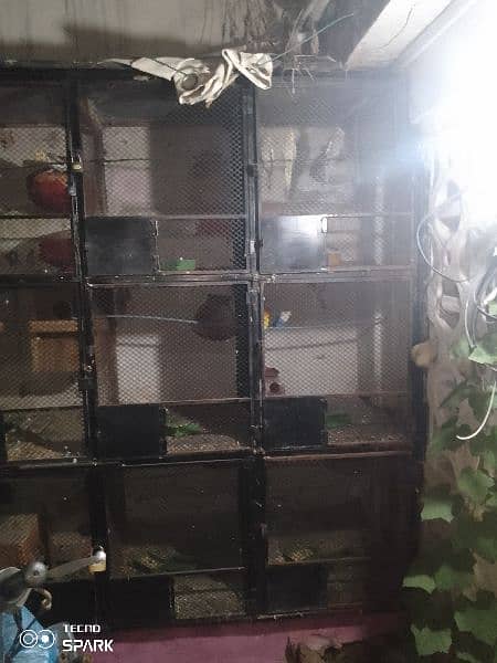 parrots cage frame 7 ft height and width 16 ft 1