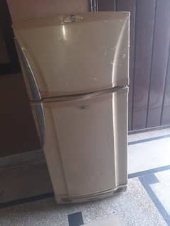 pel fridge 10/10 condition