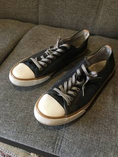 Harley Davidson casual shoes