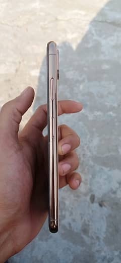 Xs max golden