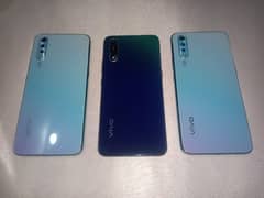 vivo